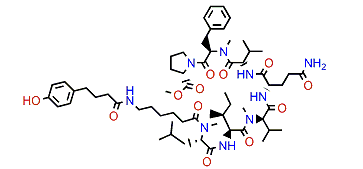 Hoshinoamide A